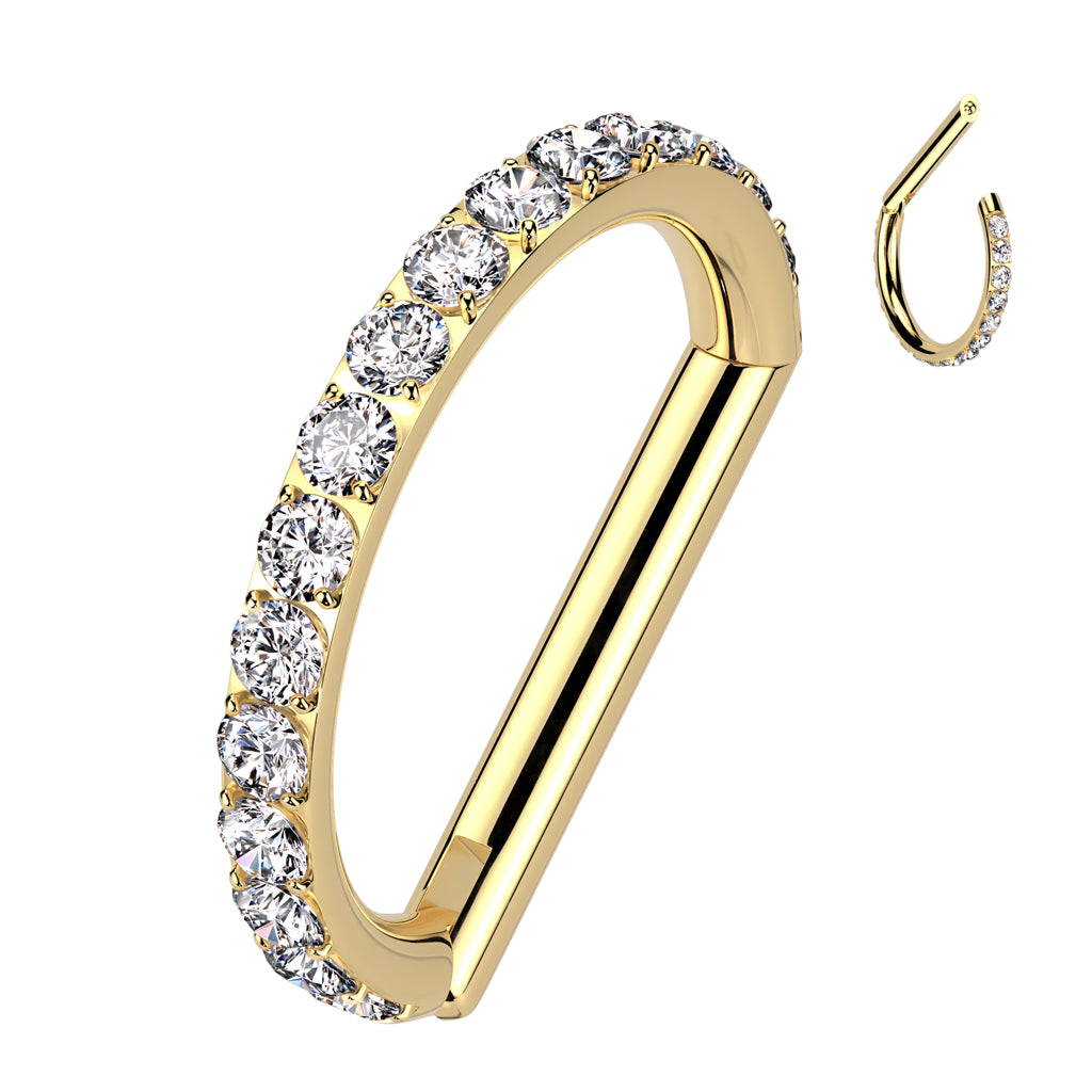 TITANIUM CRYSTAL LINED D SHAPE RING